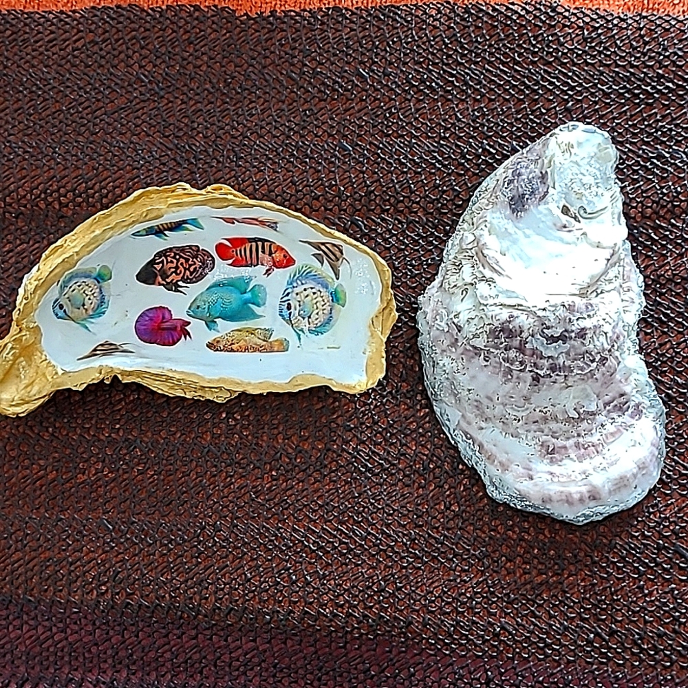 Genuine Oyster shell decoupage tropical fish jewelry office supplies dish decor